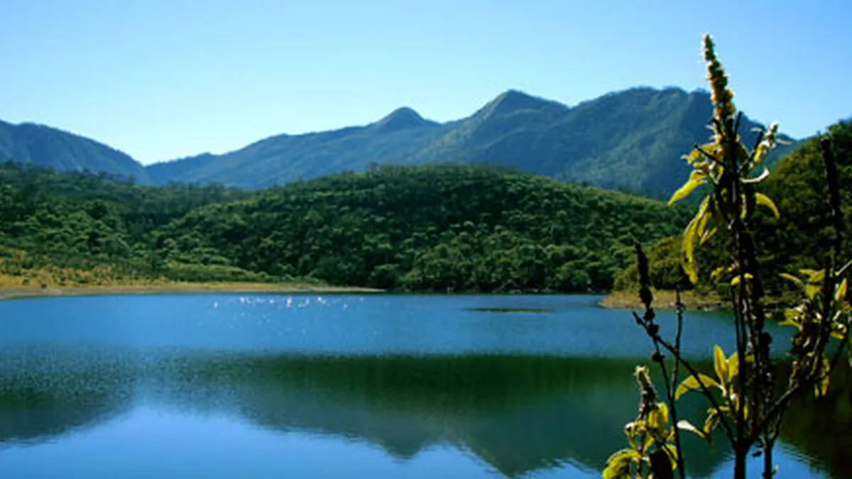 Los Valles
